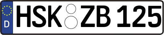 HSK-ZB125