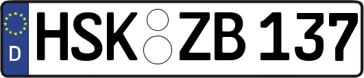 HSK-ZB137
