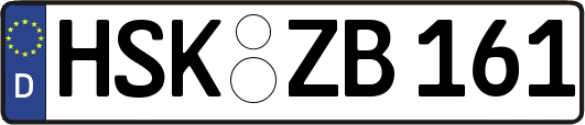 HSK-ZB161