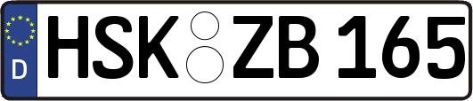 HSK-ZB165