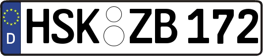 HSK-ZB172