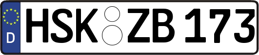 HSK-ZB173