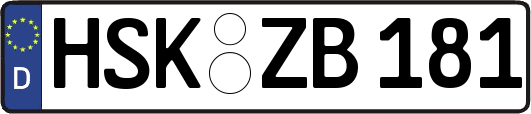 HSK-ZB181