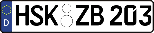 HSK-ZB203