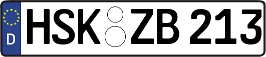 HSK-ZB213