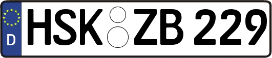 HSK-ZB229