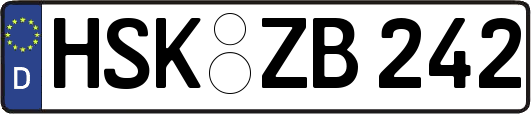 HSK-ZB242