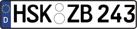 HSK-ZB243