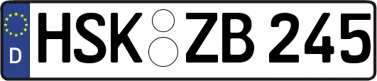HSK-ZB245