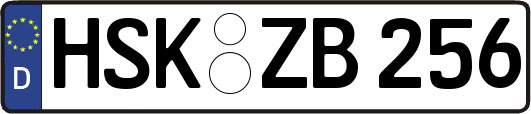HSK-ZB256
