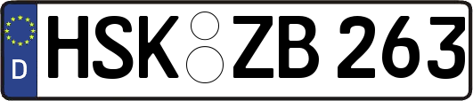 HSK-ZB263