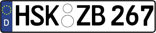 HSK-ZB267