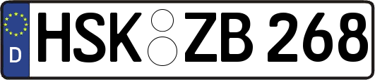 HSK-ZB268