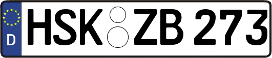 HSK-ZB273