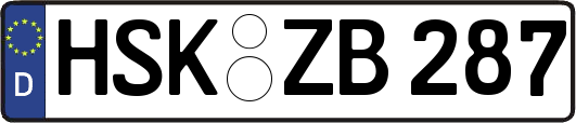 HSK-ZB287