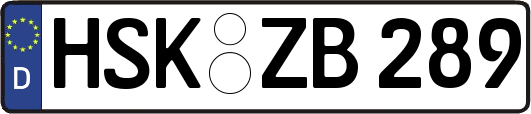 HSK-ZB289