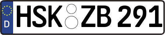 HSK-ZB291
