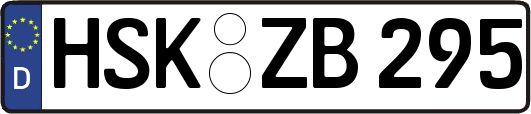 HSK-ZB295