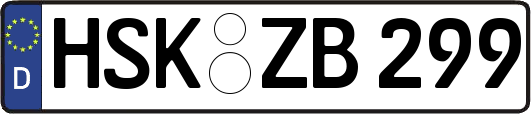 HSK-ZB299