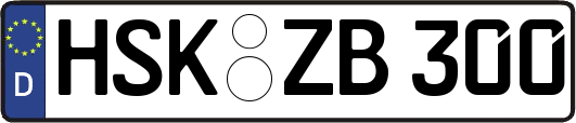 HSK-ZB300