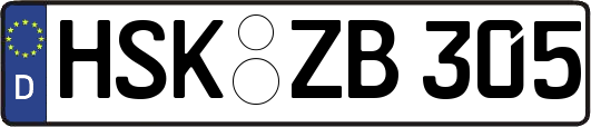 HSK-ZB305