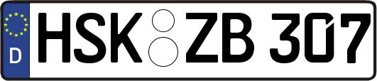 HSK-ZB307