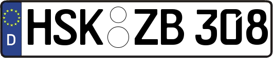 HSK-ZB308
