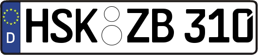 HSK-ZB310