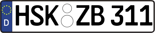HSK-ZB311
