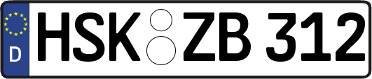 HSK-ZB312