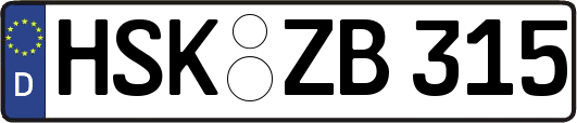 HSK-ZB315