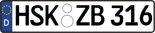 HSK-ZB316