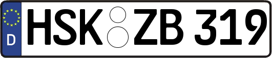 HSK-ZB319