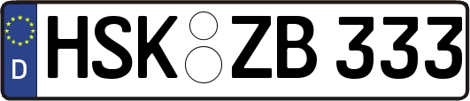 HSK-ZB333