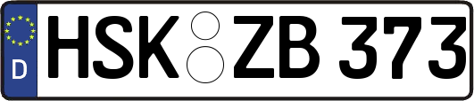 HSK-ZB373