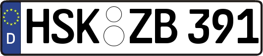 HSK-ZB391