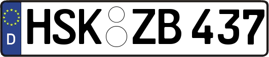 HSK-ZB437