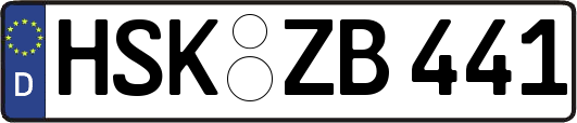 HSK-ZB441