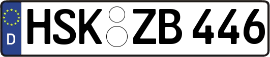 HSK-ZB446