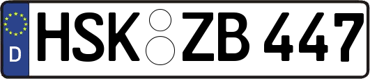 HSK-ZB447