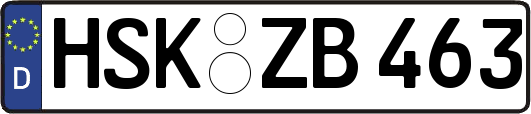 HSK-ZB463