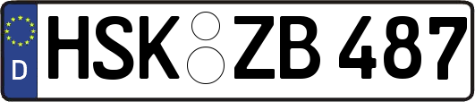 HSK-ZB487