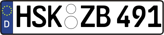HSK-ZB491
