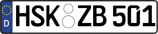 HSK-ZB501