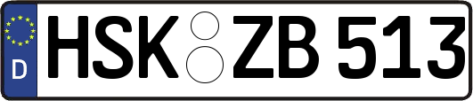 HSK-ZB513