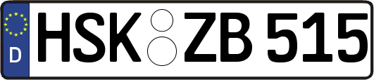 HSK-ZB515
