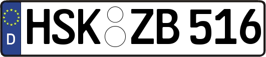 HSK-ZB516