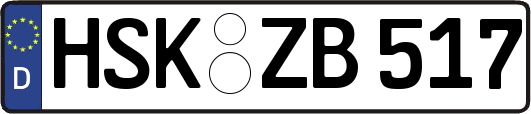 HSK-ZB517