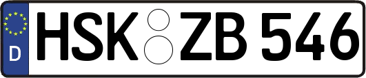 HSK-ZB546