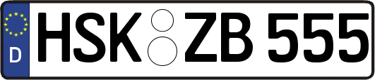 HSK-ZB555